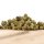 HerbadiBerna Indoor MiniBuds - Cannaqueen (CHF40.00/21g)
