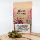HerbadiBerna Indoor Bl&uuml;ten - Cannaqueen (CHF50.00/10g)