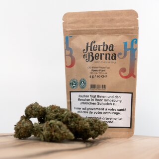 HerbadiBerna Indoor Bl&uuml;ten - Power Plant (CHF20.00/4g)