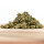 HerbadiBerna Indoor MiniBuds - Power Plant (CHF40.00/21g)