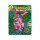 GRollz Bag 6.5x8.5cm - Amsterdam Picnic (1 Stk)