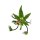 Cannabuds Magnet - Stephanus (1 Stk)