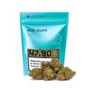 LocalWeed Indoor Bl&uuml;ten - Blue Gelato (CHF47.90/10g)