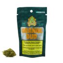 BudBouncy Indoor Bl&uuml;ten - Orange Bud (CHF20.00/5g)