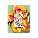 Zunder Zahnstocher Melon - Beutel (80 Stk.)