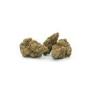 Hempiric - La Forte Fruit (CHF 9.90/2g)