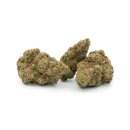 Hempiric Indoor Bl&uuml;ten - Lemongrass Haze (CHF9.90/2g)