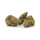 Hempiric Indoor Bl&uuml;ten - Lemongrass Haze (CHF9.90/2g)