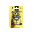 CK Seeds - Lemon Haze (3 Stk.) feminisiert