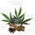 Cannard Cigarillo - CBD (5 x 10Stk)