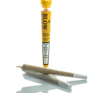 Blow Tabak Joint - Sweet Haze Yellow (1 x 20Stk)