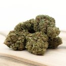 HerbadiBerna Greenhouse Bl&uuml;ten - Gorilla Glue Cherry...
