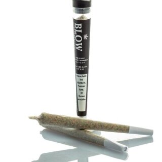 Blow - 20 Joints V1 Black