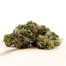 HerbadiBerna Outdoor Bl&uuml;ten - Mango Haze (CHF40.00/45g)
