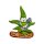 Cannabuds Magnet - Snowboarding Dude Shaun (1 Stk)