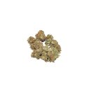 WildWildWeed Indoor Bl&uuml;ten - Billy The Weed Jack...