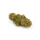 CannabisKing Seeds - Blueberry Kush feminisiert (1 x 3Stk)
