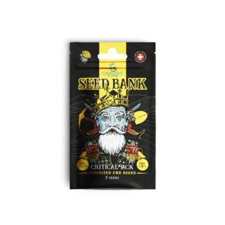CannabisKing Seeds - Critical Jack feminisiert (1 x 3Stk)